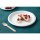 Fiesta Compostable kompostierbare Zuckerrohrteller 26cm