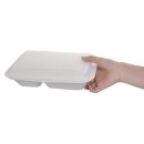 Fiesta Compostable Kompostierbare Menüboxen Aus...