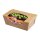 Colpac Salatboxen 500 ml - 500 Stück - recycelbar und nachhaltig, 135 x 90 x 50 mm