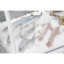 Polar G-Serie Fischkühltruhe,255Ltr.