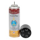 Butangas Kanister Nachfüllung 125G