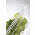 Gastronorm-Deckel mit Sous-Vide-Stick-Aussparung, HENDI, GN 1/1, Transparent, 530x325mm