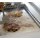 KBS Elektro Teppanyaki-Grill Mit 3 Heizzonen 14 Kw Tischgerät Anschlussfertig
