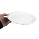 Olympia Whiteware Teller Mit Schmalem Rand 25Cm (12 Stück)