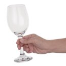 Olympia Solar Weingläser 24,5cl (24 Stück)