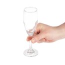 Olympia Solar Champagnergläser 17cl (24 Stück)