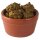 Olympia Rustic Auflaufförmchen Terrakotta 9,5cm (6 Stück)