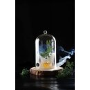 Glaskuppel mit Belüftung, HENDI, Cocktail-Glosche,...