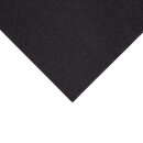 Fiesta Recyclable Cocktailservietten schwarz 24cm (4000...