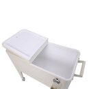 Icy - Rollbare Kühlbox