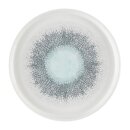 Churchill Studio Prints Fusion Aquamarine Chefs Walled...
