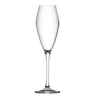 Utopia Seine Flöten 260ml (6er-Pack)