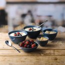 Churchill Super Vitrified Nourish Oslo Blue Chip Tassen,...