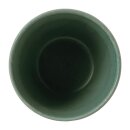 Churchill Super Vitrified Nourish Andorra Green...