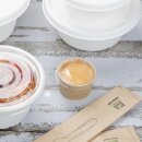 Fiesta Recyclebare Portionsbecher 50ml (1000 Stück)