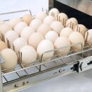 Ei- und Messersterilisator, Abmessung 360 x 530 x 245 mm...