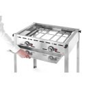 HENDI Grillsystem Green Fire – 2 Brenner, 11,6 kW, Profi Line