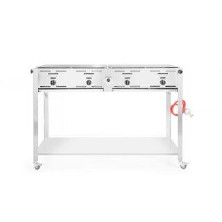 Großer Gasgrill Quattro für Propangas, 22 kWh