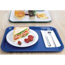 Olympia Kristallon Fast-Food-Tablett blau 41,5 x 30,5cm