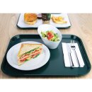 Olympia Kristallon Fast-Food-Tablett grün 45 x 35cm
