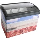Eiscreme u. Verkaufstruhe Focus 131V-v2 - Esta
