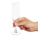 Olympia Rosario Champagnergläser 17cl (6 Stück)