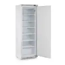 Arktic Gefrierschrank mit 1 Tür -  Edelstahl, 600 x...