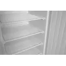 Budget Line Gefrierschrank in weiß lackiertem Stahlgehäuse, Arktic, Budget Line, 220-240V/436W, 775x710x(H)1900mm