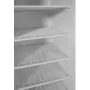 Budget Line Gefrierschrank in weiß lackiertem Stahlgehäuse, Arktic, Budget Line, Weiß, 230V/322W, 600x646x(H)1875mm