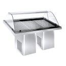 Gekühlte Fisch Vitrine 1.9