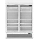 Saro Tiefkühlschrank D 920  mit 2 Glastüren -...