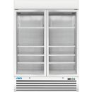 Saro Tiefkühlschrank mit 2 Glastüren