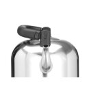 Elektrischer Wasserkocher 4,2 L
