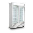 Saro Tiefkühlschrank D 800 - 2 Türen,...