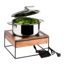 APS Induktionskochplatte mit Gestell - 900 W, Ø 24...