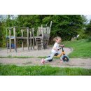 Toptrike Little Balancer